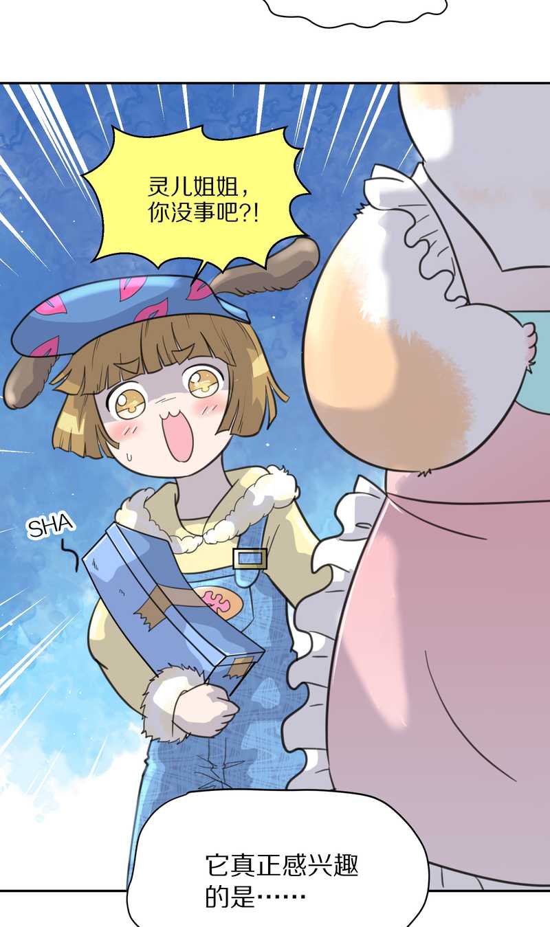 毛球星传说 第39集(1/2)-第39话