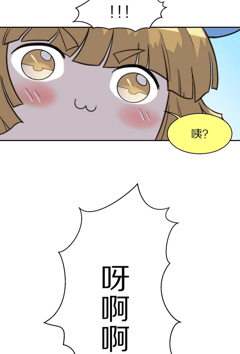 毛球星传说 第39集(1/2)-第39话
