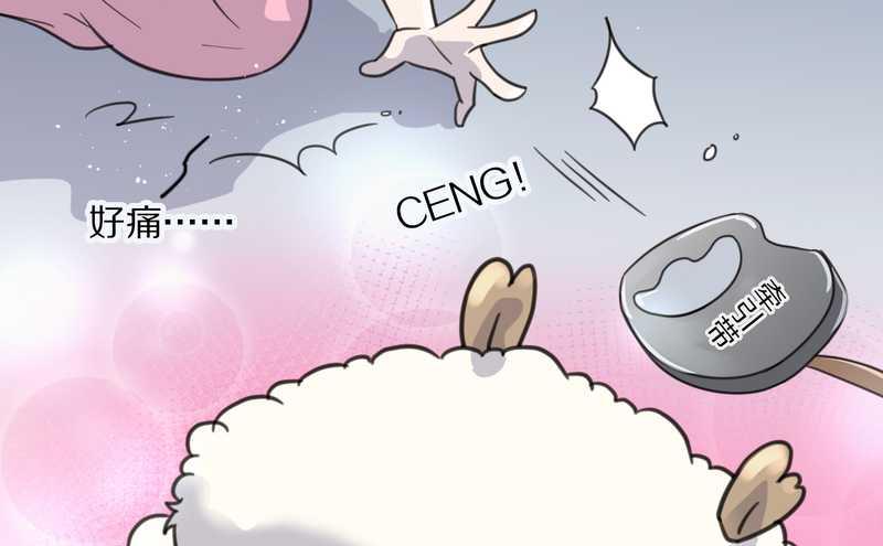 毛球星传说 第39集(1/2)-第39话
