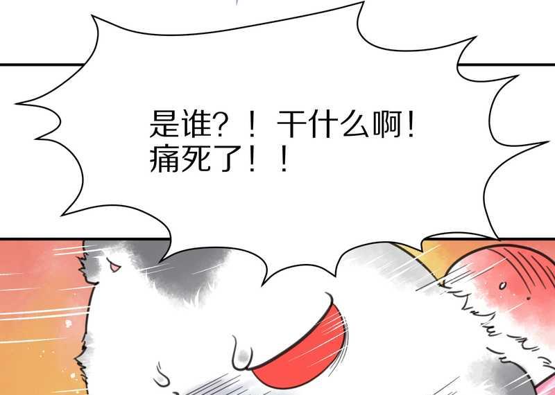毛球星传说 第5集(1/2)-第5话