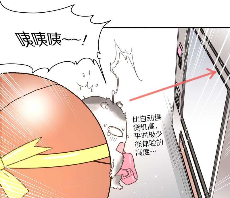 毛球星传说 第5集(1/2)-第5话