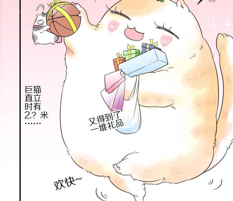 毛球星传说 第5集(1/2)-第5话