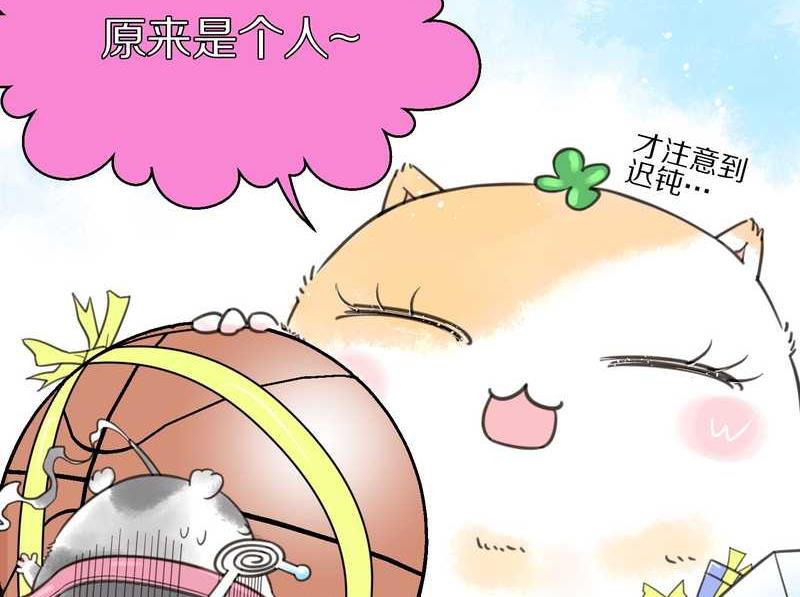 毛球星传说 第5集(1/2)-第5话