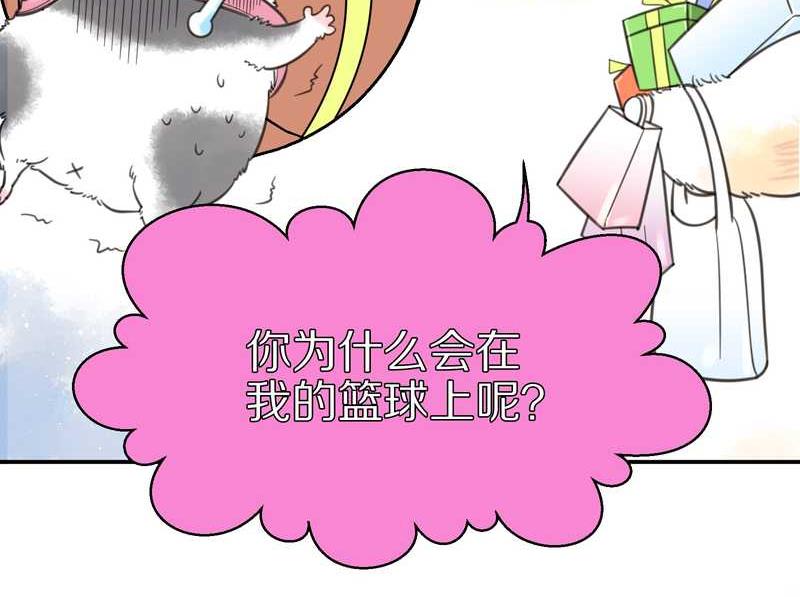 毛球星传说 第5集(1/2)-第5话