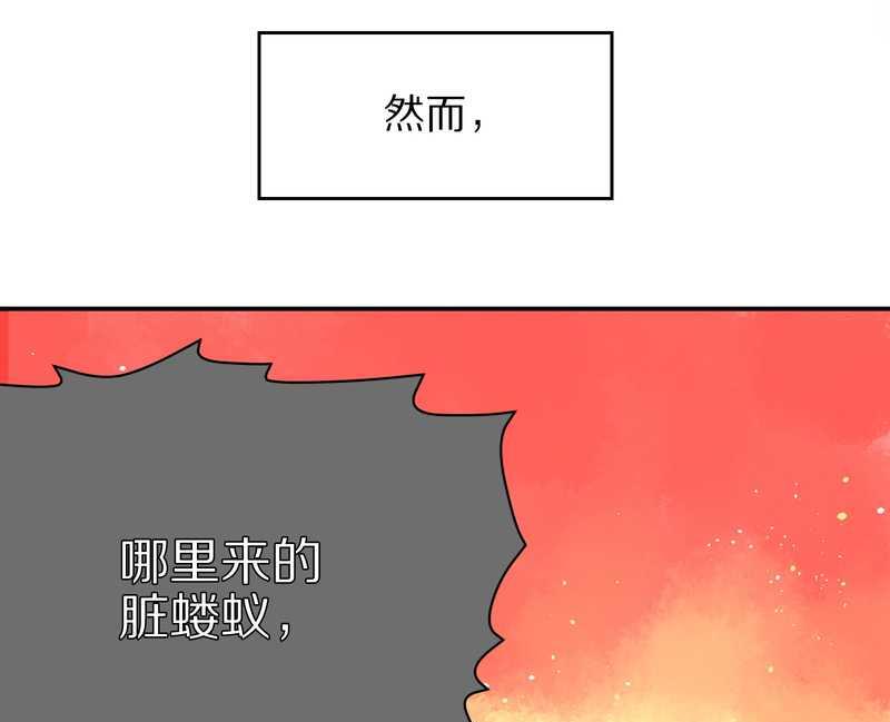 毛球星传说 第5集(1/2)-第5话