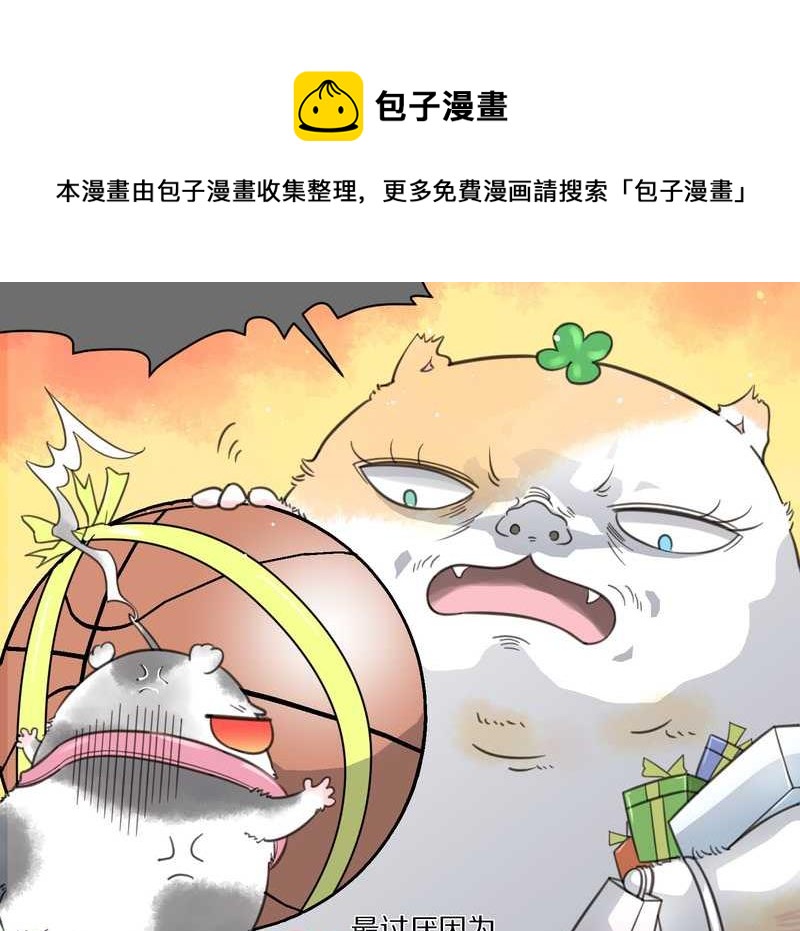 毛球星传说 第5集(1/2)-第5话
