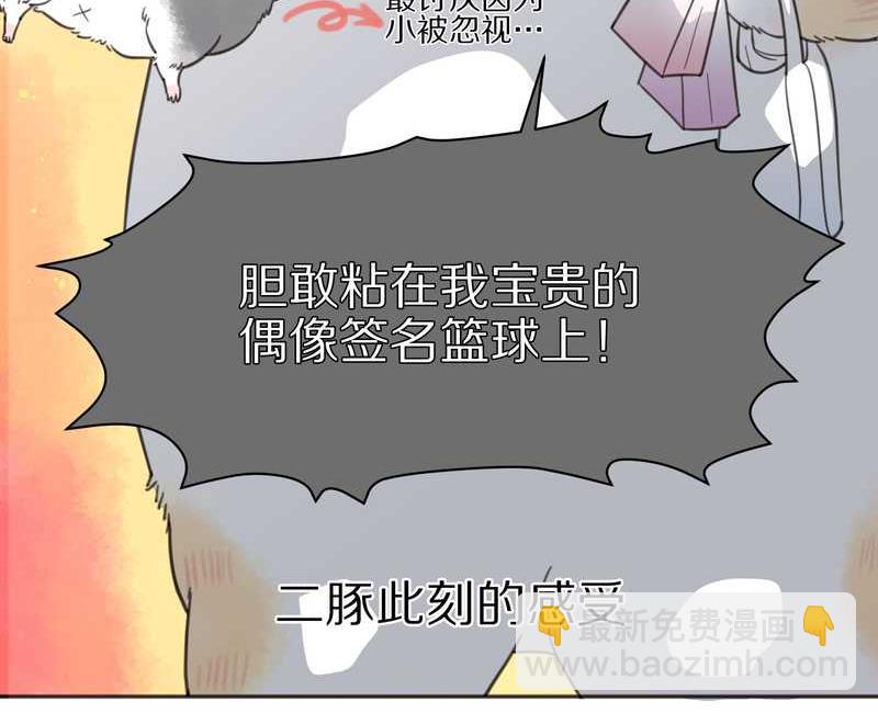 毛球星传说 第5集(1/2)-第5话