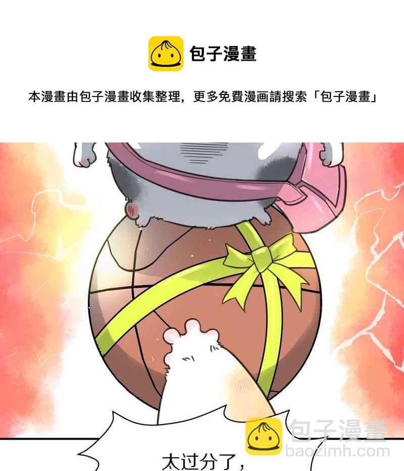 毛球星传说 第5集(1/2)-第5话