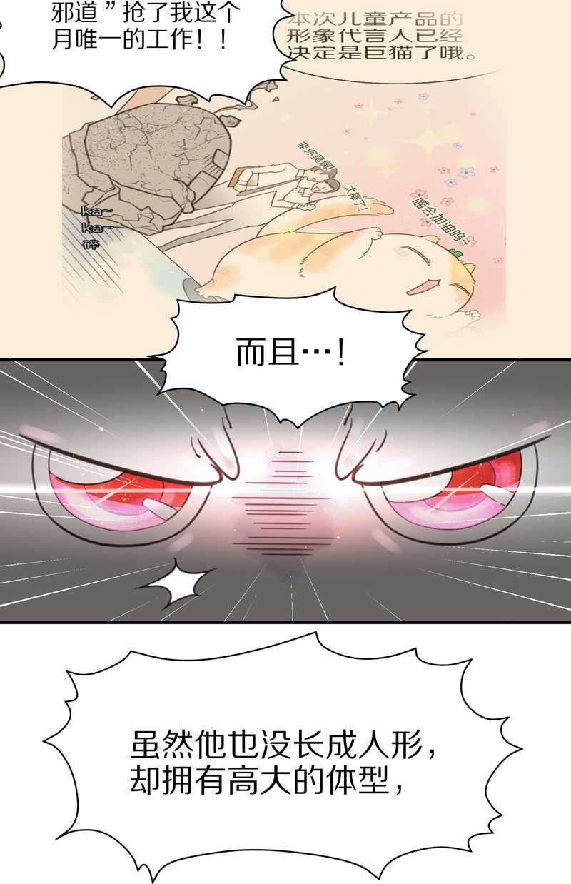 毛球星传说 第5集(1/2)-第5话