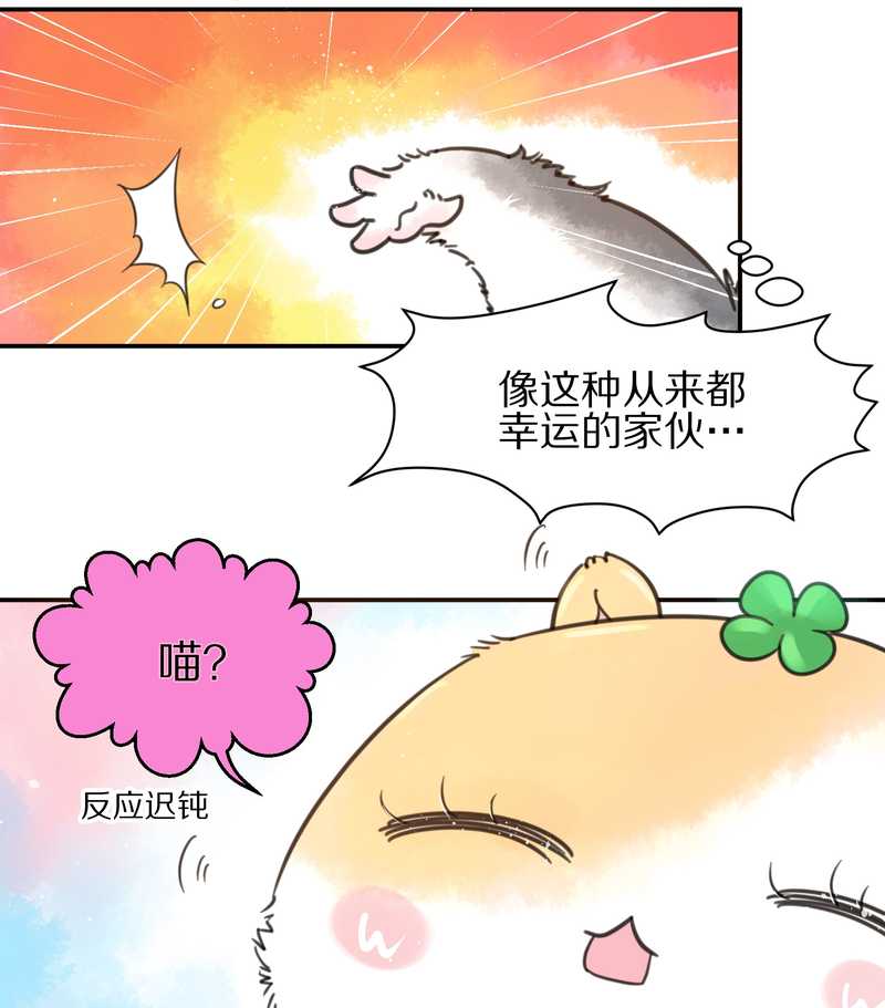 毛球星传说 第5集(1/2)-第5话