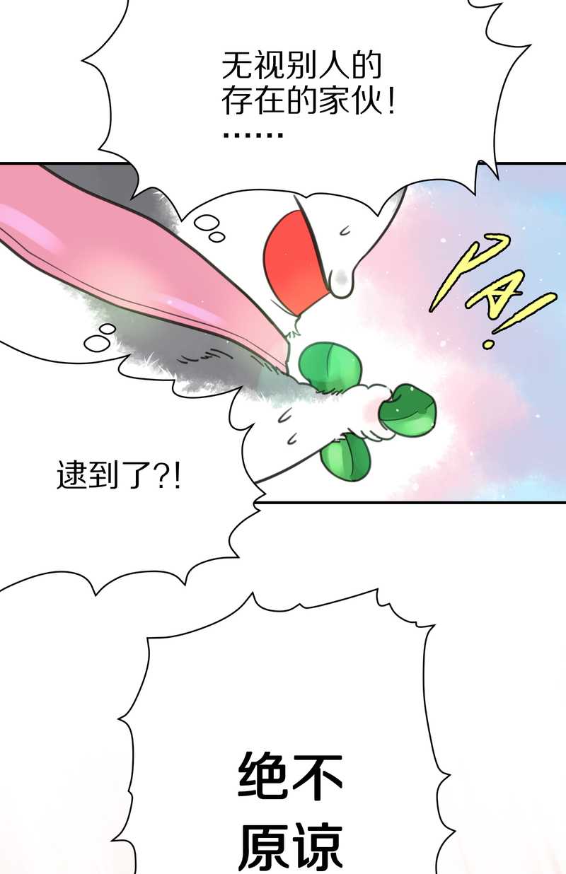 毛球星传说 第5集(1/2)-第5话