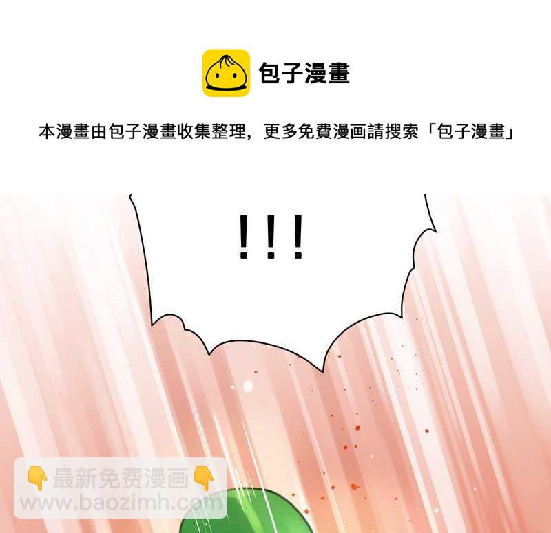 毛球星传说 第5集(1/2)-第5话