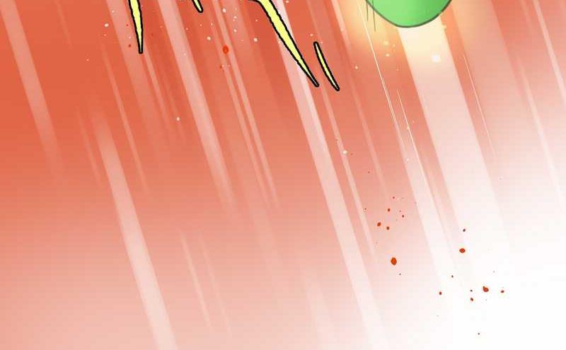 毛球星传说 第5集(1/2)-第5话