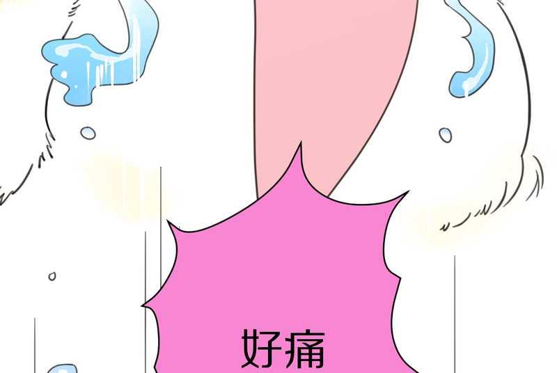 毛球星传说 第5集(1/2)-第5话