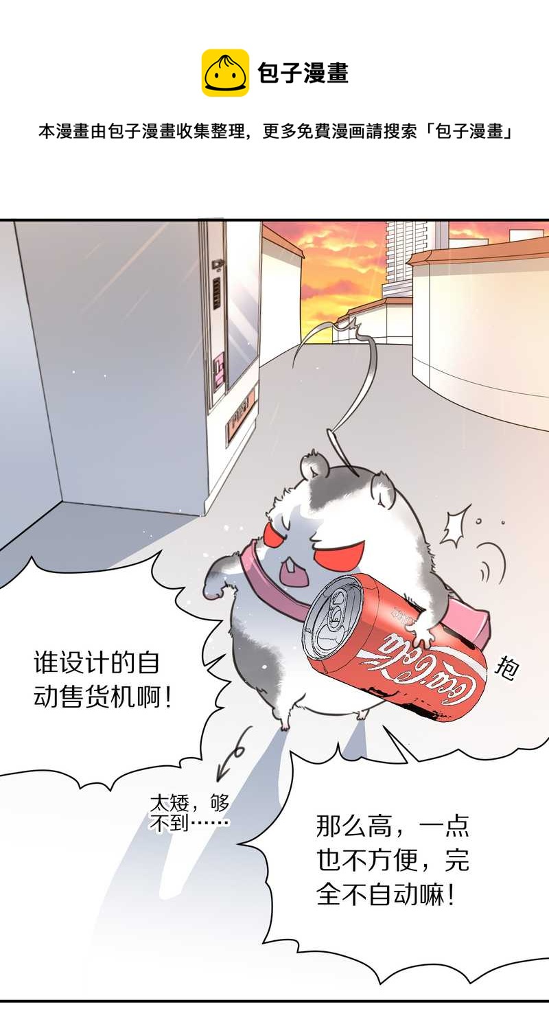毛球星传说 第5集(1/2)-第5话