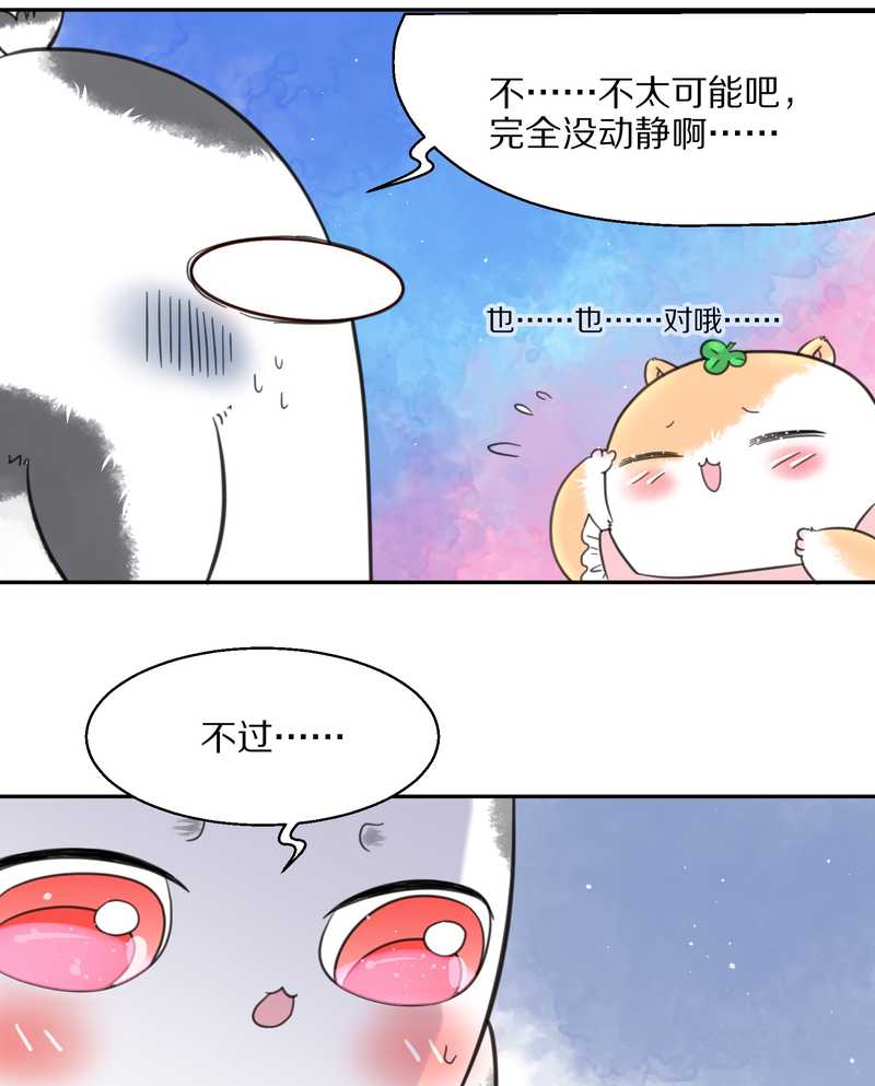 毛球星传说 第41集(1/2)-第41话