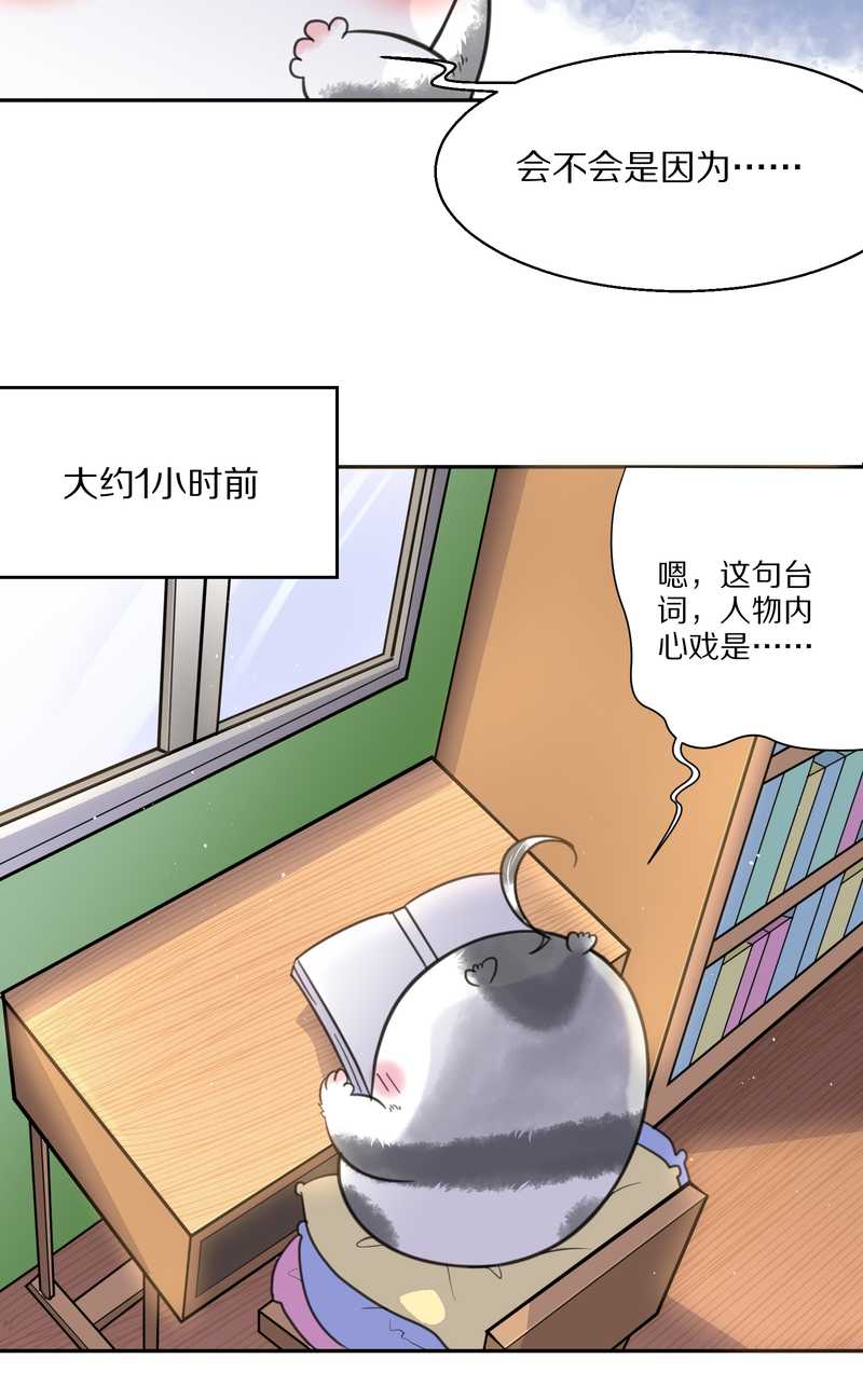 毛球星传说 第41集(1/2)-第41话