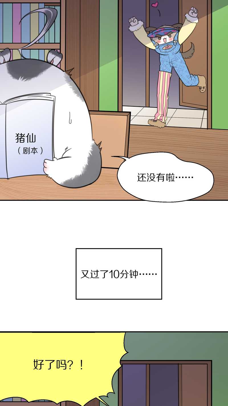 毛球星传说 第41集(1/2)-第41话