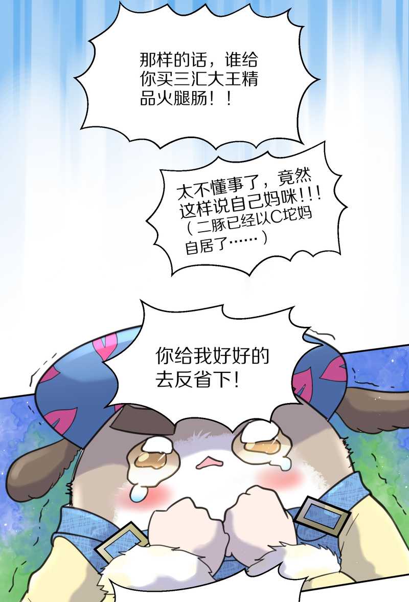 毛球星传说 第41集(1/2)-第41话