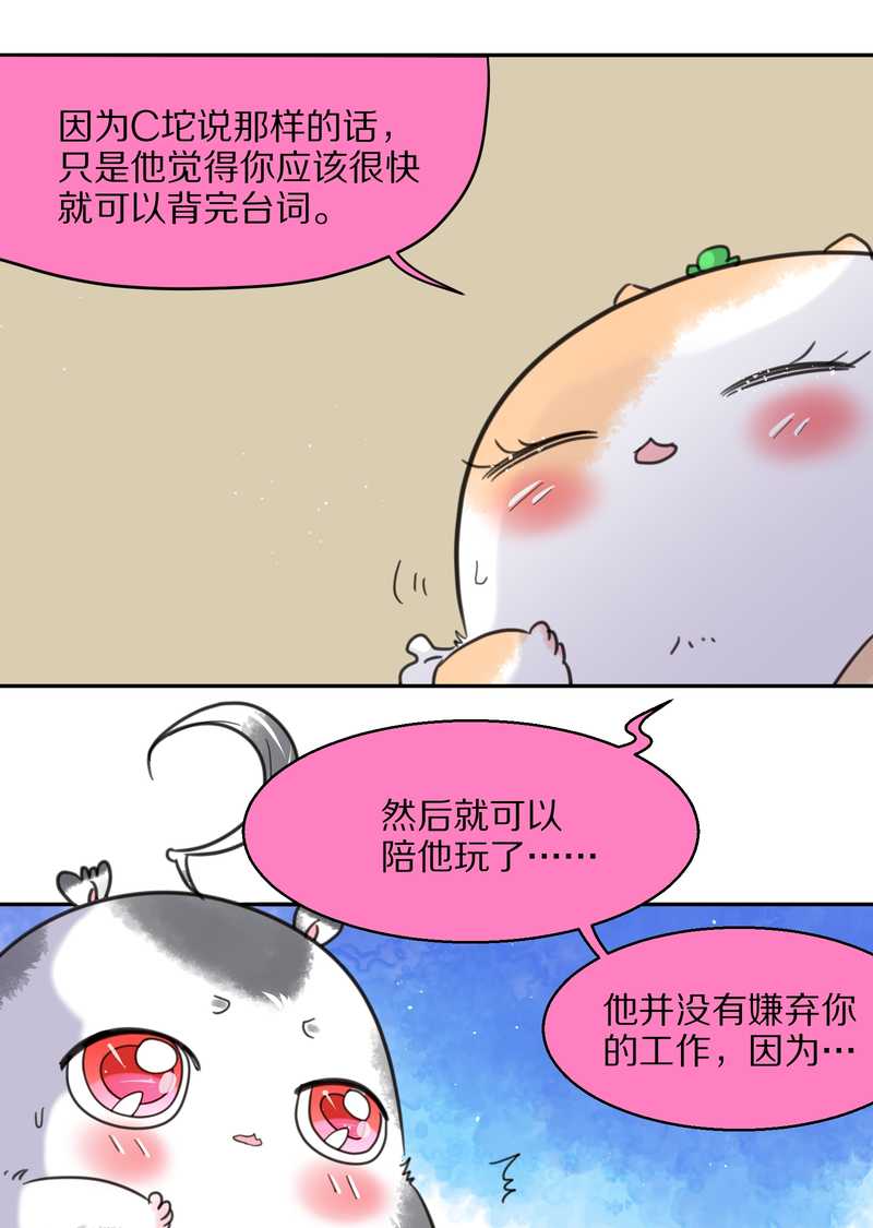 毛球星传说 第41集(1/2)-第41话