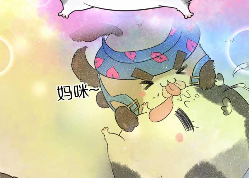 毛球星传说 第41集(1/2)-第41话