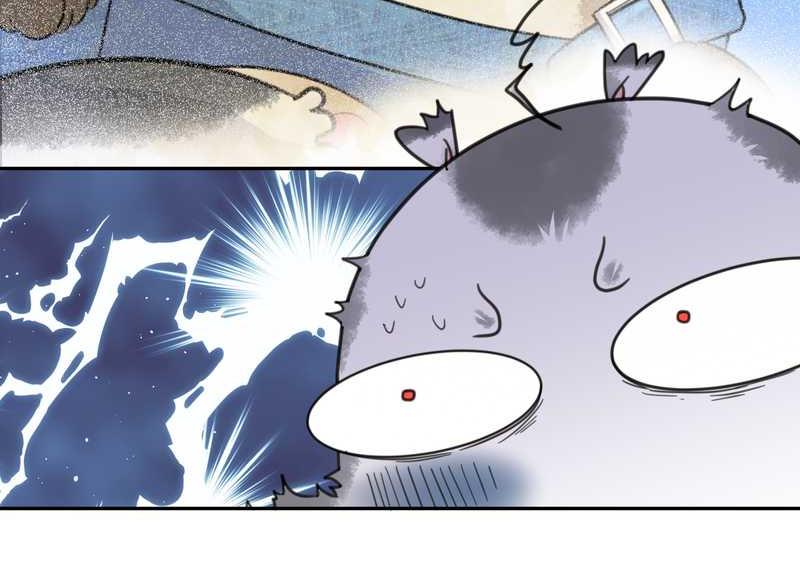 毛球星传说 第41集(1/2)-第41话