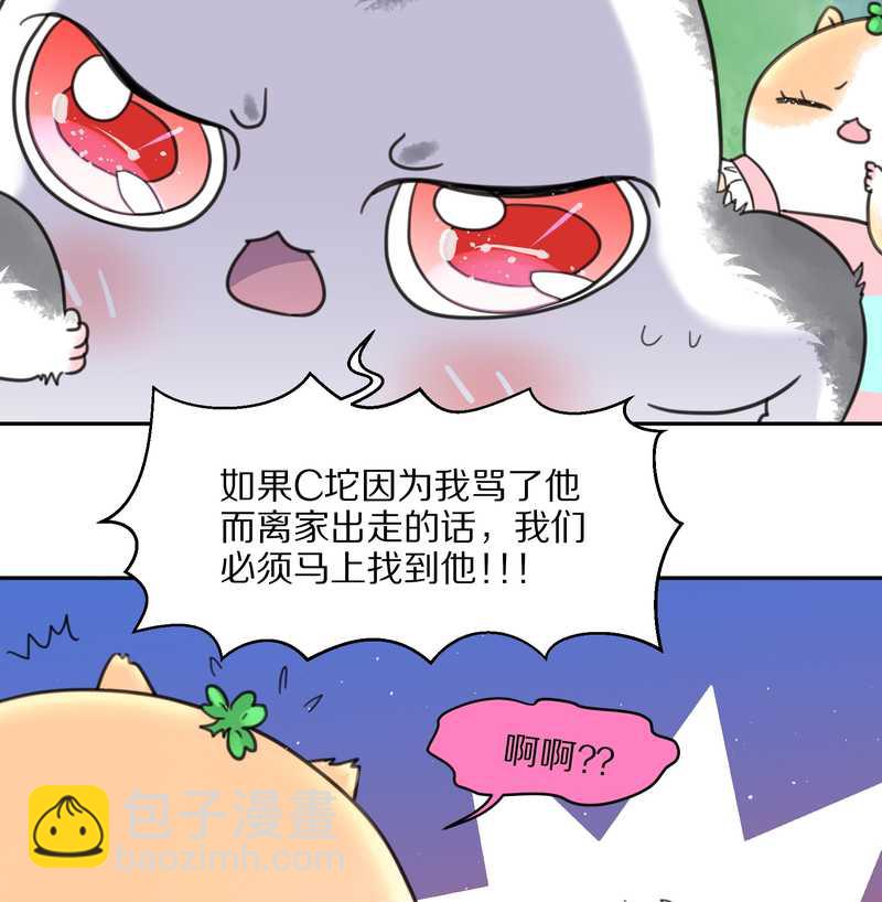 毛球星传说 第41集(1/2)-第41话
