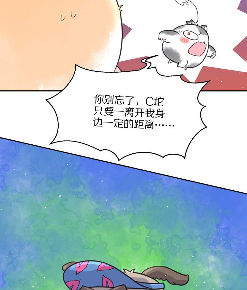 毛球星传说 第41集(1/2)-第41话