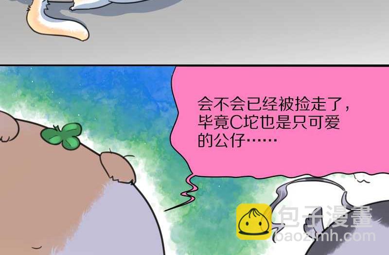 毛球星传说 第41集(1/2)-第41话