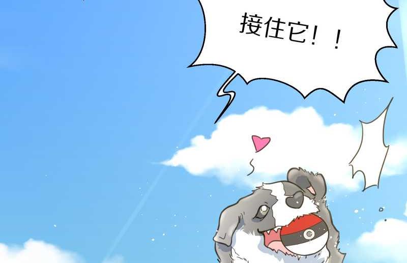 毛球星传说 第41集(1/2)-第41话