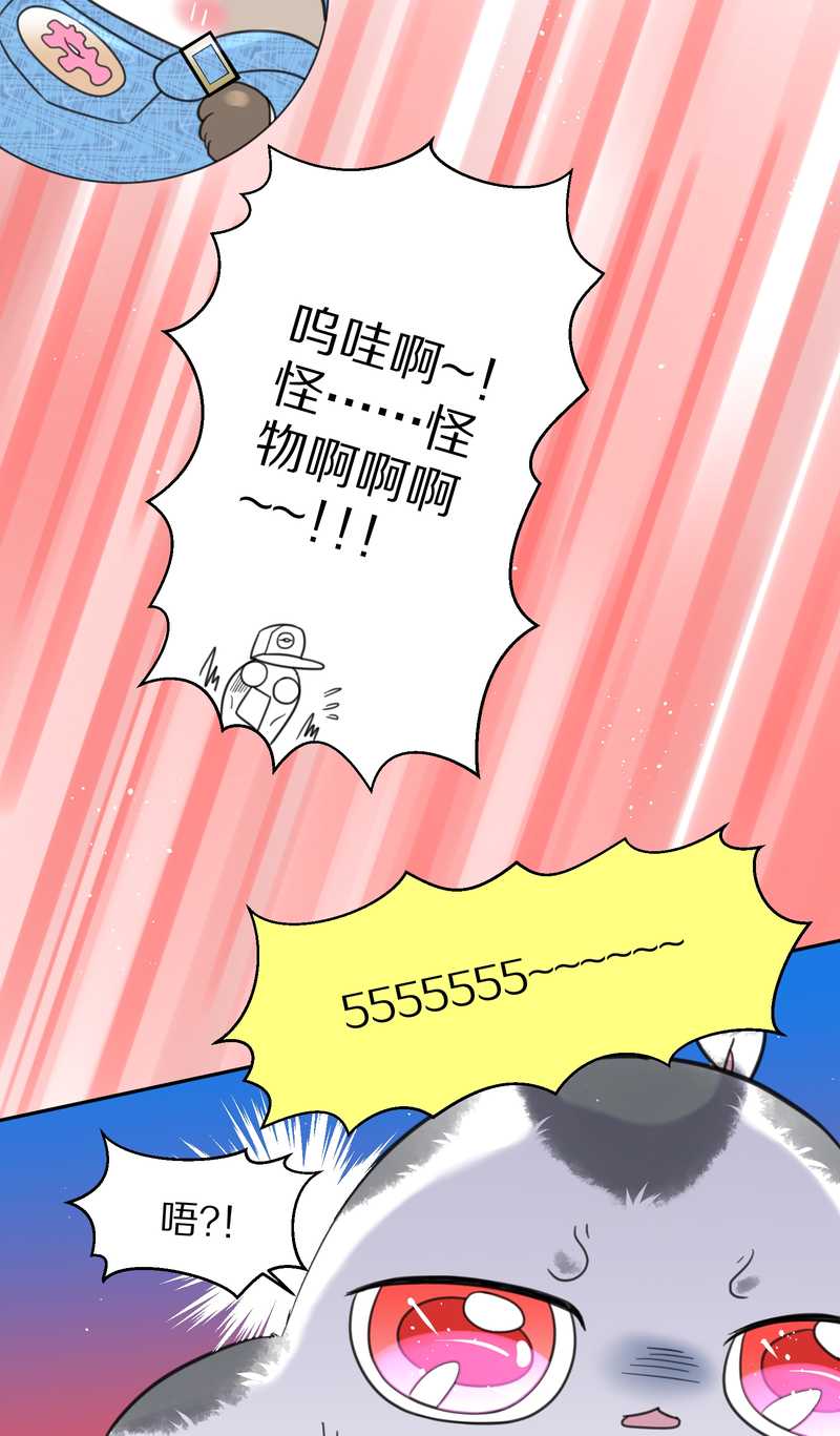 毛球星传说 第41集(1/2)-第41话