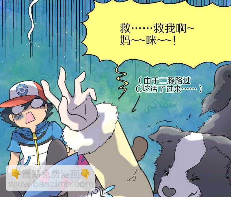 毛球星传说 第41集(1/2)-第41话