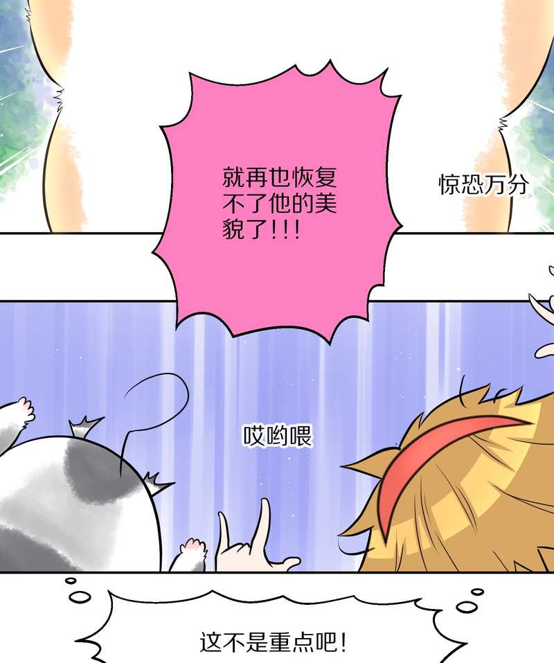 毛球星传说 第43集-第43话