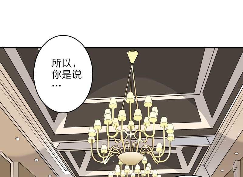 毛球星传说 第43集-第43话