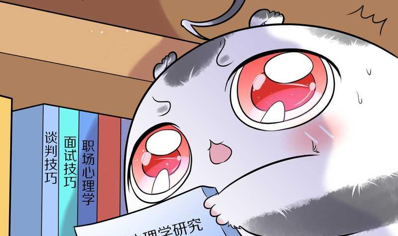 毛球星传说 第45集(1/2)-第45话