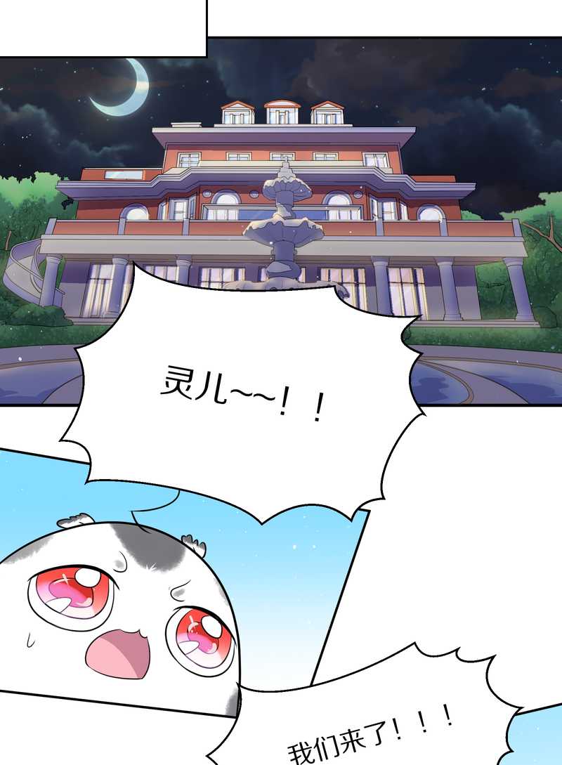 毛球星传说 第45集(1/2)-第45话