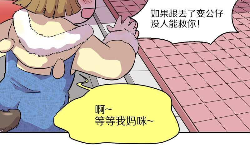 毛球星传说 第47集(1/2)-第47话