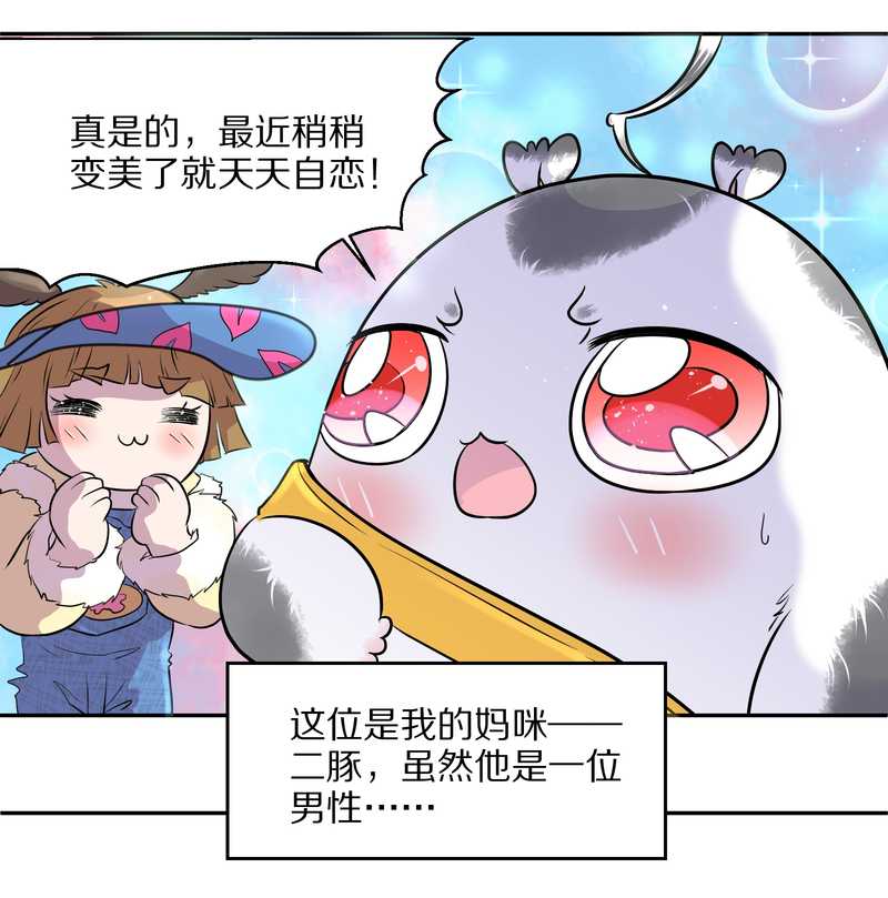 毛球星传说 第47集(1/2)-第47话