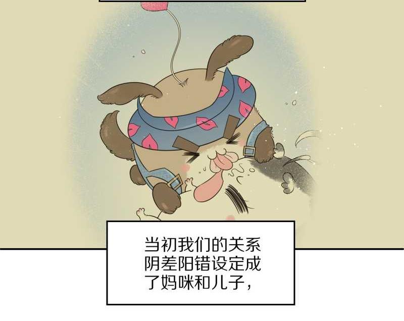 毛球星传说 第47集(1/2)-第47话