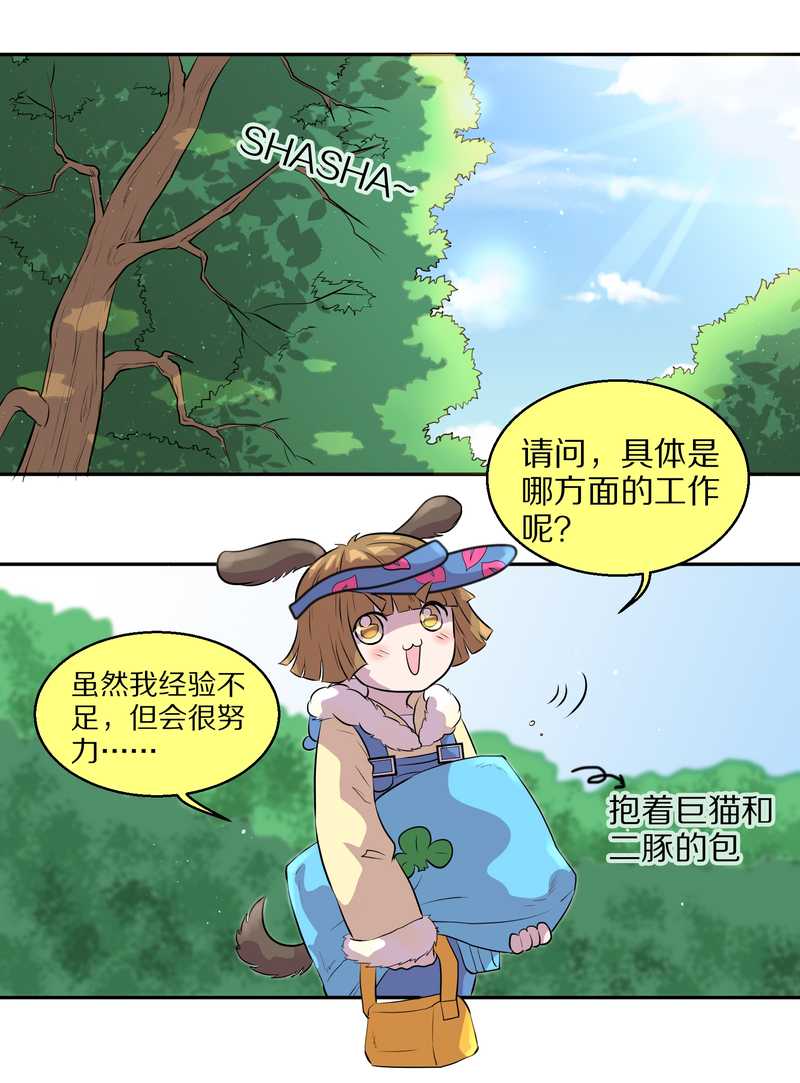 毛球星传说 第47集(1/2)-第47话