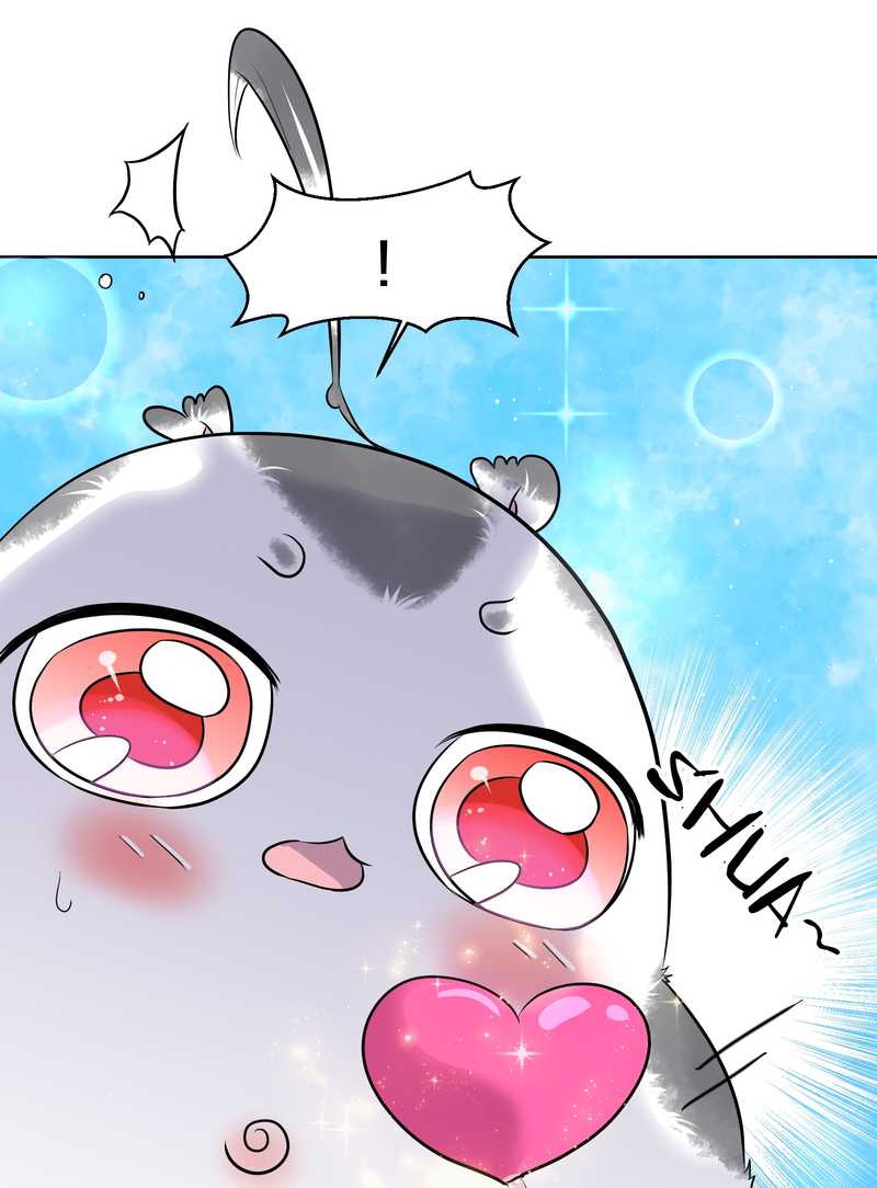毛球星传说 第49集(1/2)-第49话