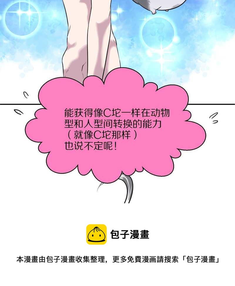 毛球星传说 第49集(1/2)-第49话