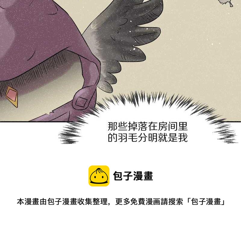毛球星传说 第51集(1/2)-第51话