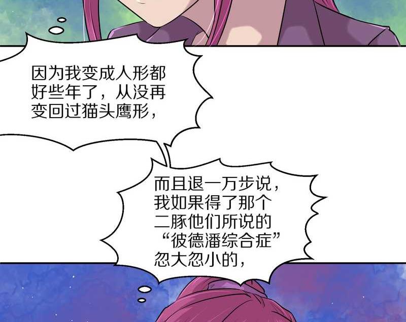 毛球星传说 第51集(1/2)-第51话