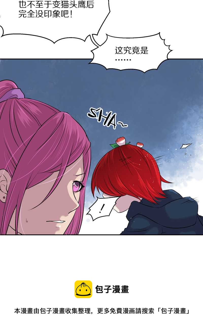 毛球星传说 第51集(1/2)-第51话