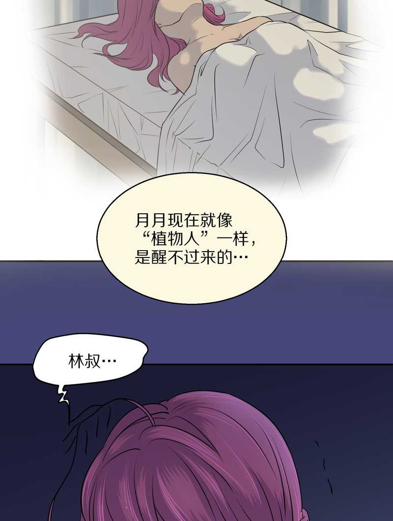 毛球星传说 第53集(1/2)-第53话