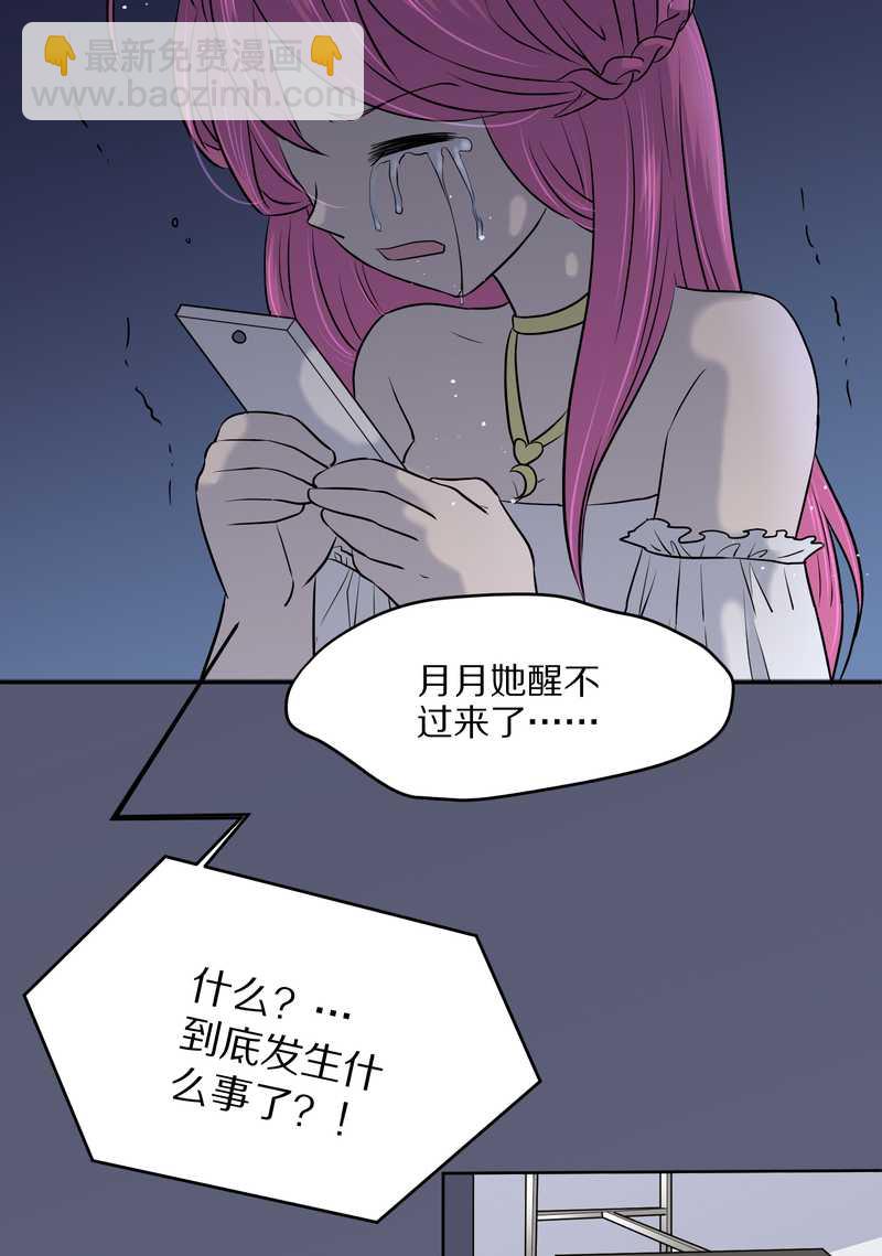 毛球星传说 第53集(1/2)-第53话