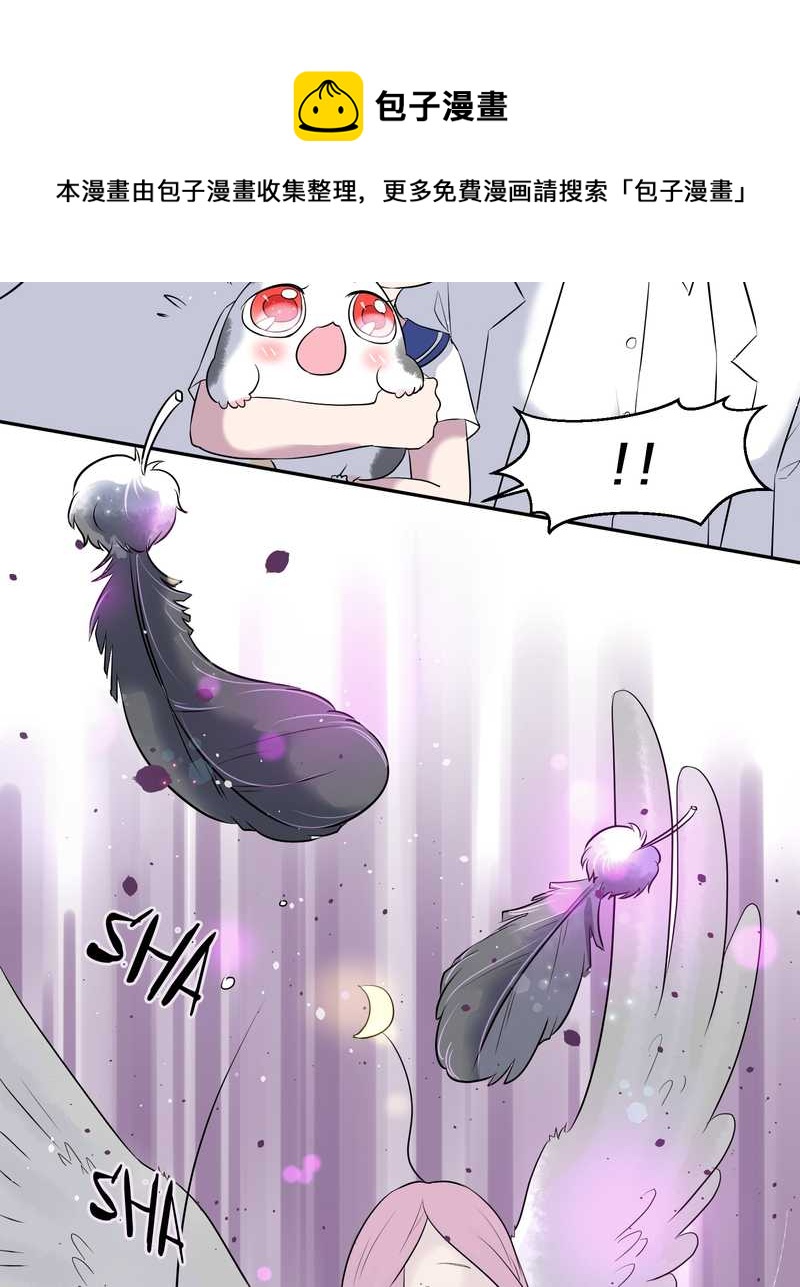 毛球星传说 第53集(1/2)-第53话