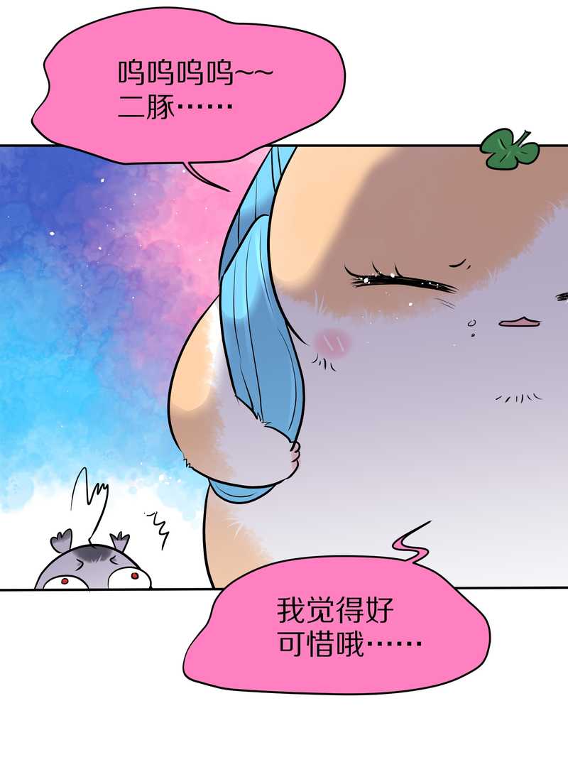 毛球星传说 第55集(1/2)-第55话