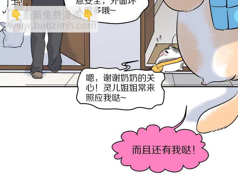 毛球星传说 第55集(1/2)-第55话